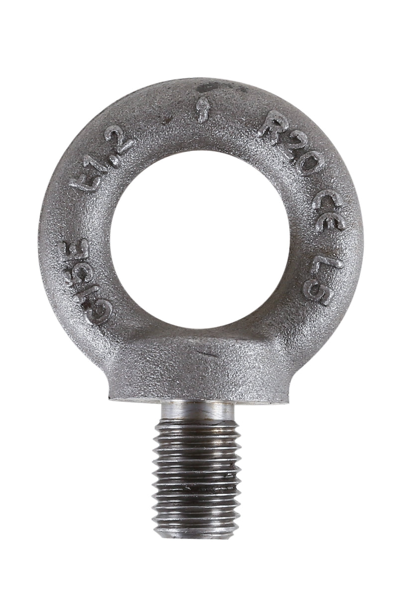 8040EN - Lifting Eye Bolts, DIN 580 Self-Coloured