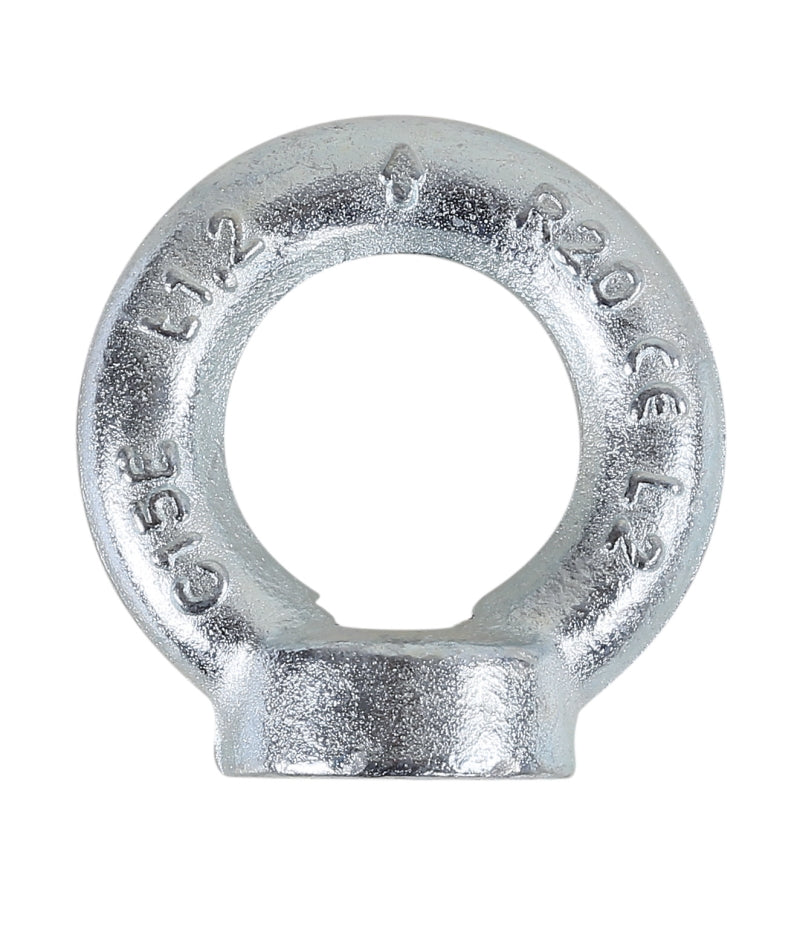 8042EZ - Lifting Eye Nuts, DIN 582 Galvanized