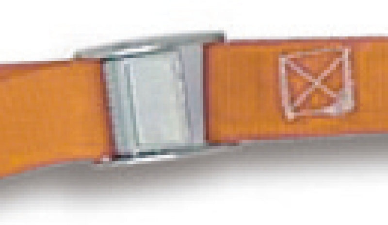 8188F - Cam Buckle Straps, Lc 200 Kg, High-Grade Polypropylene (Pp) Belt