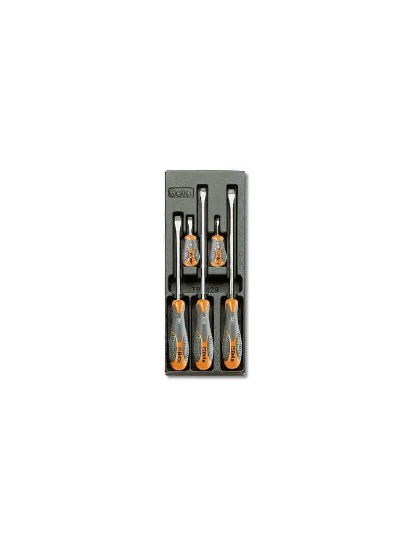 T171 - Hard Thermoformed Tray with Tool Assortment