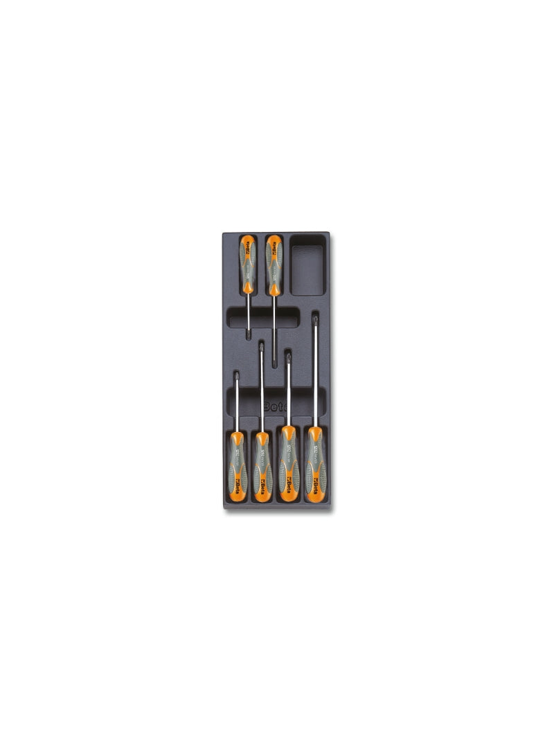 T172 - Hard Thermoformed Tray with Tool Assortment