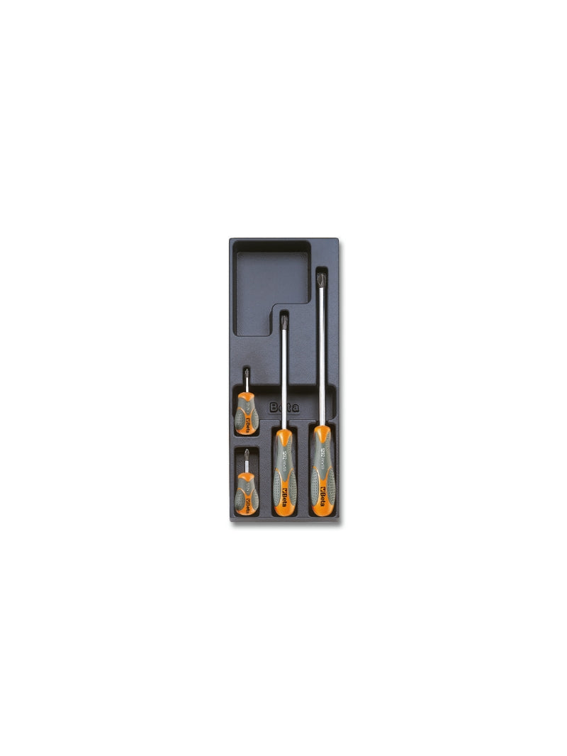 T173 - Hard Thermoformed Tray with Tool Assortment