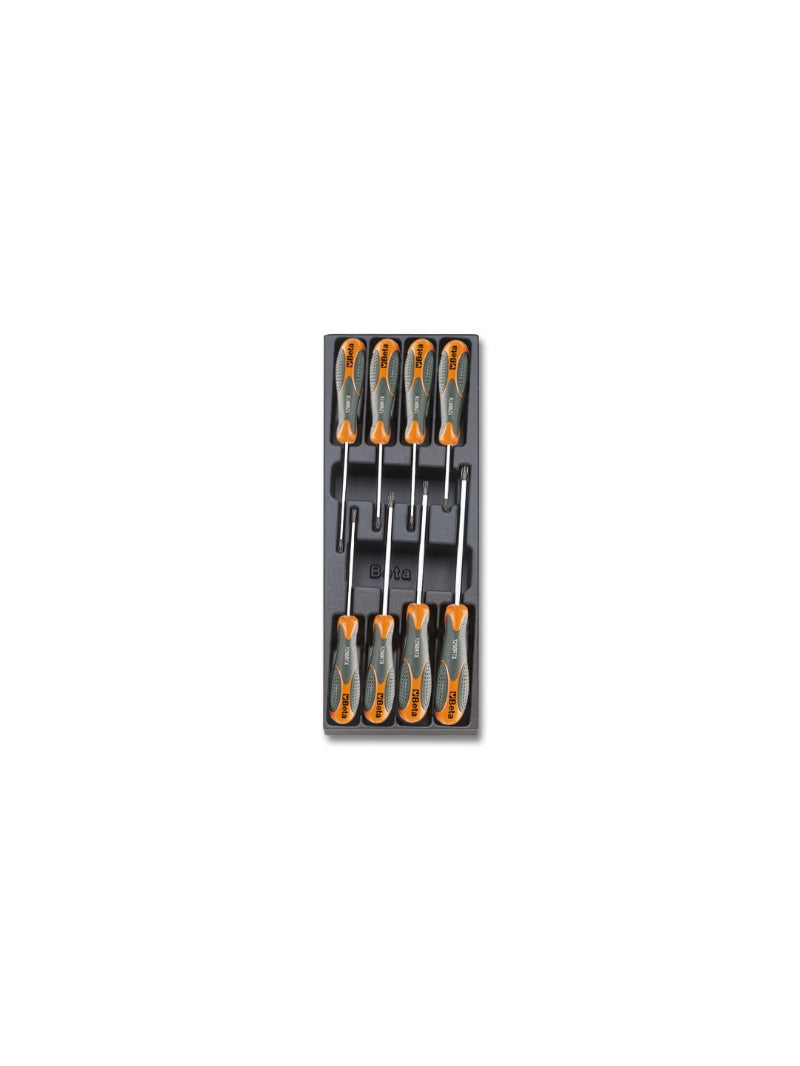 T177 - Hard Thermoformed Tray with Tool Assortment