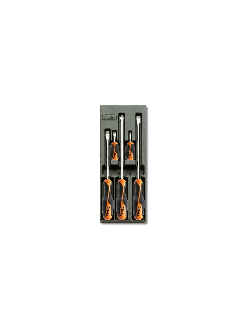 T201 - Hard Thermoformed Tray with Tool Assortment
