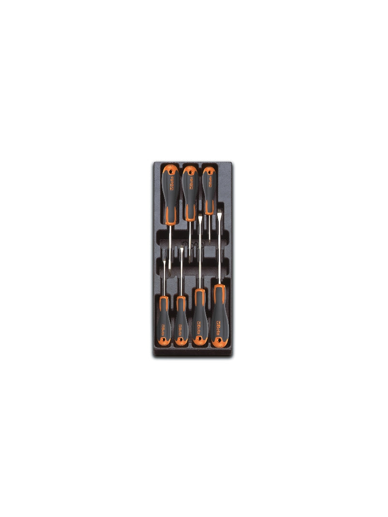 T221 - Hard Thermoformed Tray with Beta Easy Screwdrivers for Slotted and Phillips Head Screws