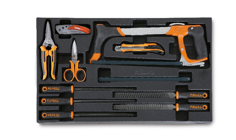 T284 - Hard Thermoformed Tray with Files and Cutting Tools